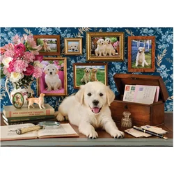 AnaTolian - Puzzle Labradorec - 500 kosov