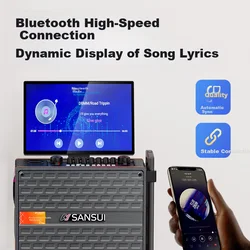 Sansui Karaoke audio sistem Q085