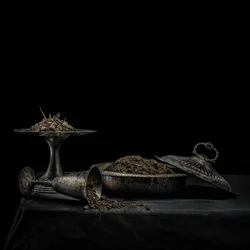 Holy Scum - All We Have Is Never (Limited Edition) (Coloured) (LP)