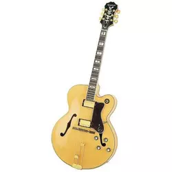 EPIPHONE ELEKTRIČNA akustična kitara BROADWAY L5 N