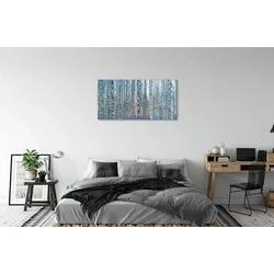 tulup.si Steklena slika Birch gozd sunset 100x50 cm 4 obešalnika