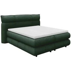 BOXSPRING KREVET CARMELO 140/200 cm , tamnozelena