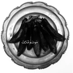 Land Of Kush & The Egyptian Light Orchestra - Monogamy (2 LP + CD)
