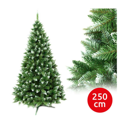 Božićna jelka 250 cm (jela)