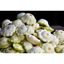 BUEKE PATIŠON CUSTARD WHITE 4gr
