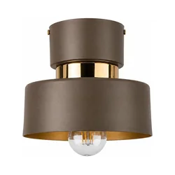 Plafonsko svetlo IGNIA 1xE27/60W/230V braon/zlatna