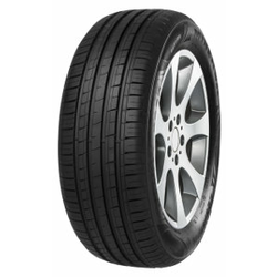 Minerva F209 ( 215/65 R15 96H )