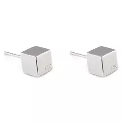 Uhani Calvin Klein 35000245 Srebrna