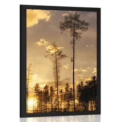 Plakat večer v gozdu - 30x45 no frame