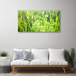 tulup.si Slika na platnu Grass nature rastlin 100x50 cm
