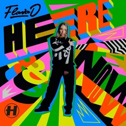 Flava D - Here & Now (2 LP)