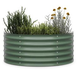 Blumfeldt  (GDMB4-Bl-HGHC-DM)