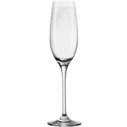 ČAŠA ZA ŠAMPANJAC 340 ml
