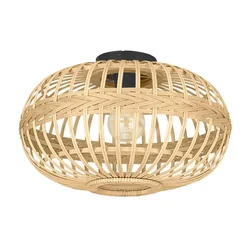 Eglo 43723 - Plafonsko svetlo AMSFIELD 1xE27/40W/230V