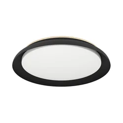 Eglo 900857 - LED plafonsko svetlo PENJAMO LED/20W/230V