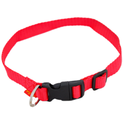 Pet Line Ogrlica za pse, 20mm, 29-42cm, Crvena
