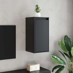 Zidni ormarići 2 kom crni 30 x 30 x 60 cm od masivne borovine