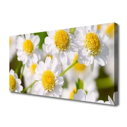 tulup.si Slika na platnu Daisy rože narava 120x60 cm