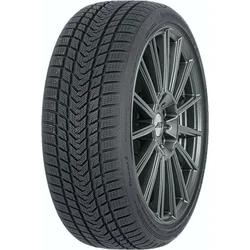 Gripmax Suregrip Pro Winter ( 255/30 R20 92V XL )