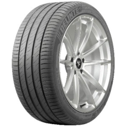 Delinte DS2 ( 205/60 R15 91V )