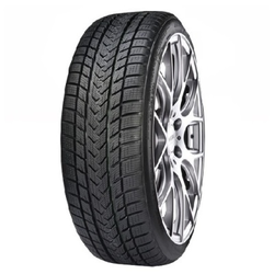 Gripmax Suregrip Pro Winter ( 255/40 R19 100V XL )