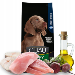 FARMINA Cibau Hrana za štence velikih rasa Maxi Puppy, Piletina - 12 kg