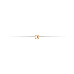 Sunnylife Etui SUNNYLIFE FP-B957-G za DJI Flip (sivo)