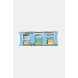 Komplet dišečih sveč Aqui dAia Candles x Côte 3 x 75 g 3-pack