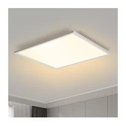 Brilagi - LED plafonsko svetlo SLIMFRAME LED/58W/230V 60x60 cm belo