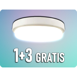 LED kupatilsko plafonsko svetlo LED/18W/230V 6500K IP54 prečnik 19,5 cm