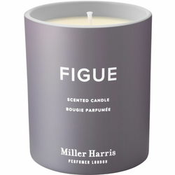 Dišeča sveča FIGUE Miller Harris