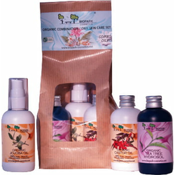 Biopark Cosmetics Oily Skin Care Combination Set - 1 set