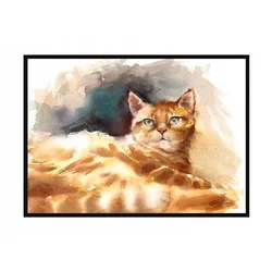 shumee PLAKAT V OKVIRJU 43x33 cm Mačka P1204