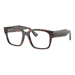 Ray-Ban RX7256 8320