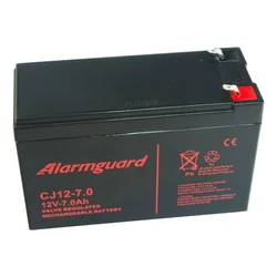 Alarmguard backup battery 12V, 7Ah, 105A