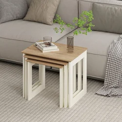 Hanah Home set od 3 umetnutih stočića Marlo 20485, 58,50,42 cm, Derin Sepet
