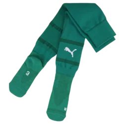 Nogavice Puma teamFINAL Socks