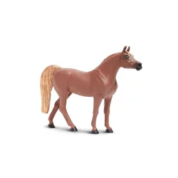 Safari Arabska kobila