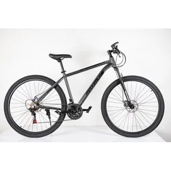 WINNER BIKE BIC. 29/21 MAXIMUS GREY