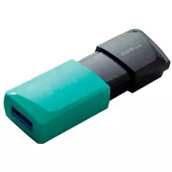 Kingston USB flash memorija 256GB DTXM/256GB ( 0001265478 )