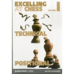 Excelling at Chess Volume 1