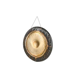 Goike gong 91cm/36 Voda