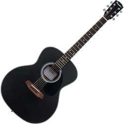 Pasadena PG-100 Black Akustična kitara Jumbo (Kot novo)