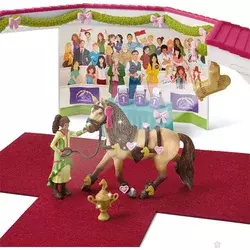 Veliki takmičarski set 42466