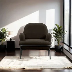 Atelier del Sofa Fotelja Aster, 85 x 80 x 53 cm, Antracit