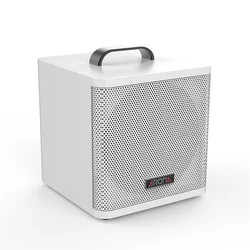 AROMA AG-40A akumulatorski ojačevalec
