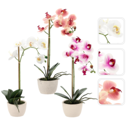CHOMIK UMETNI CVET - ORHIDEE MIX 3 BARVE 43 CM 1kos