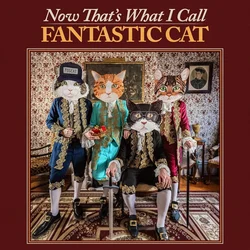Fantastic Cat - Now Thats What I Call Fantastic Cat (LP)