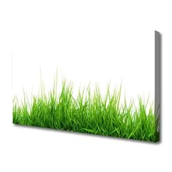 tulup.si Slika na platnu Grass nature rastlin 120x60 cm