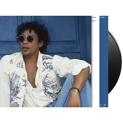 Laurent Voulzy - 21 Souvenirs (2 LP)
